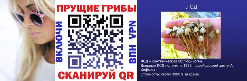 Псилоцибиновые грибы прущие грибы  Жуков 